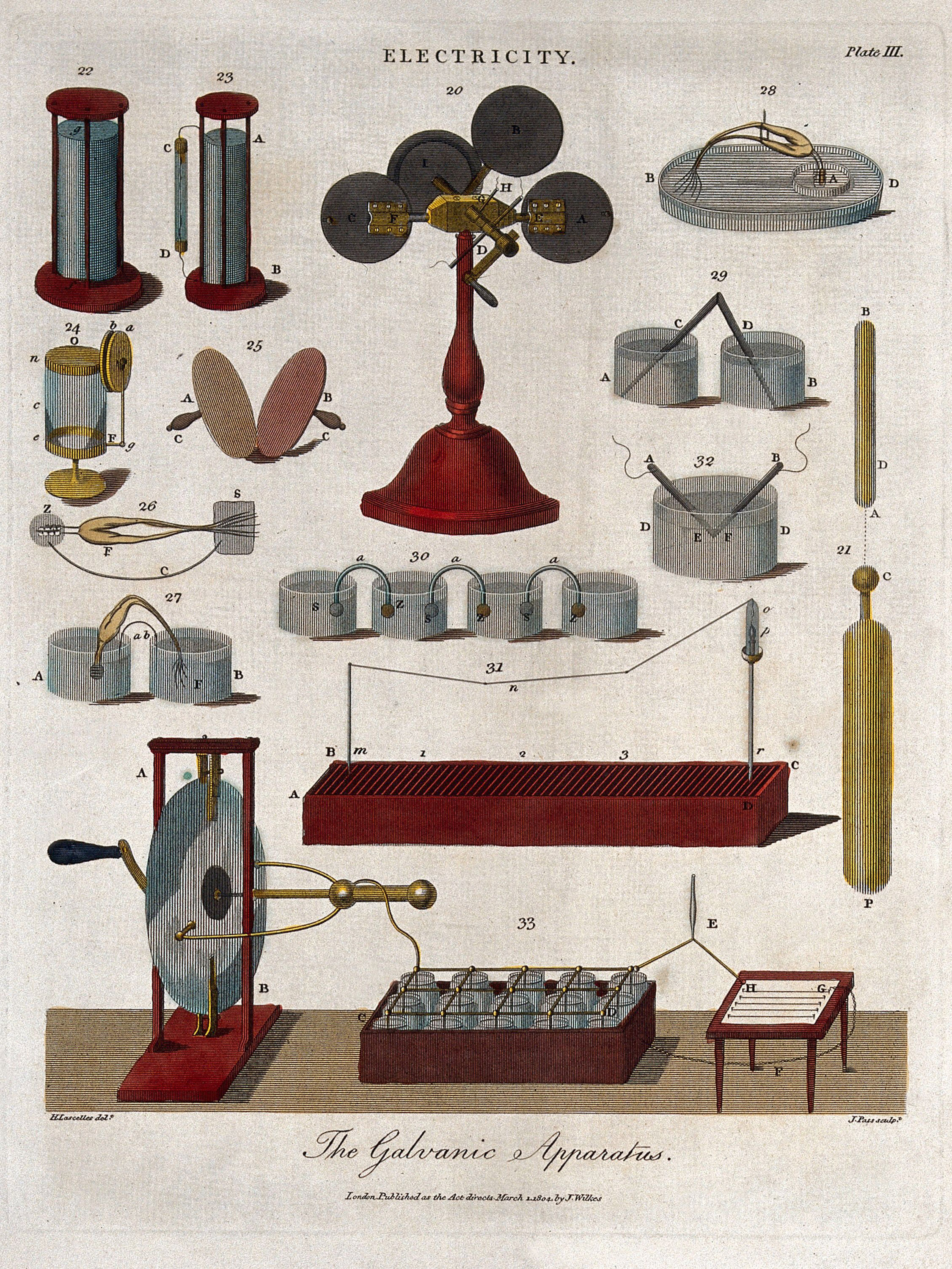 plate of the different components of the Galvanic Apparatus